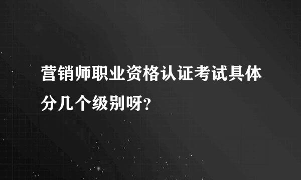 营销师职业资格认证考试具体分几个级别呀？