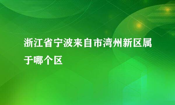 浙江省宁波来自市湾州新区属于哪个区