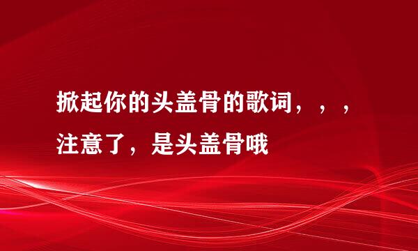 掀起你的头盖骨的歌词，，，注意了，是头盖骨哦