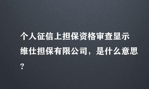 个人征信上担保资格审查显示维仕担保有限公司，是什么意思？