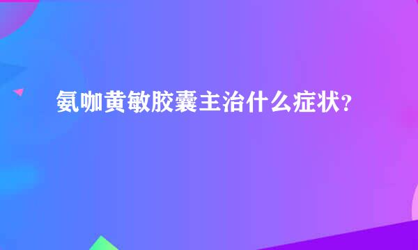 氨咖黄敏胶囊主治什么症状？