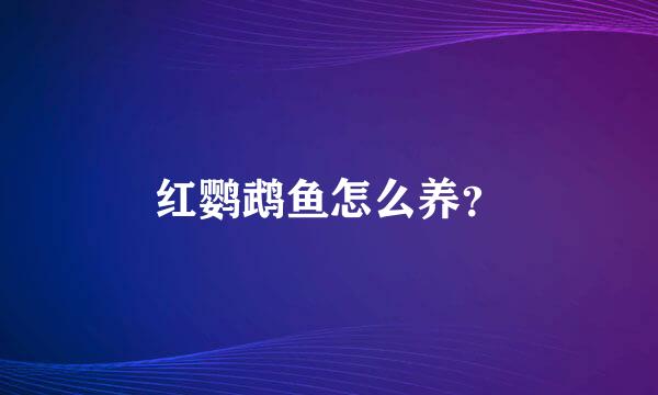 红鹦鹉鱼怎么养？