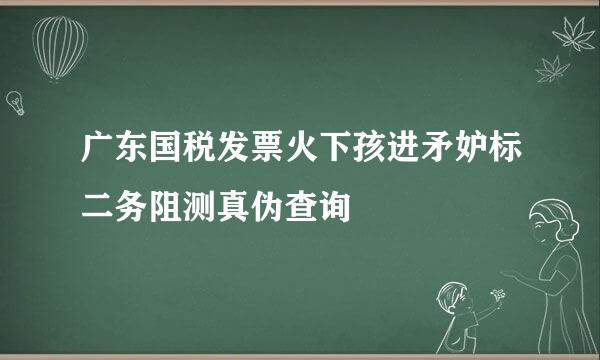 广东国税发票火下孩进矛妒标二务阻测真伪查询