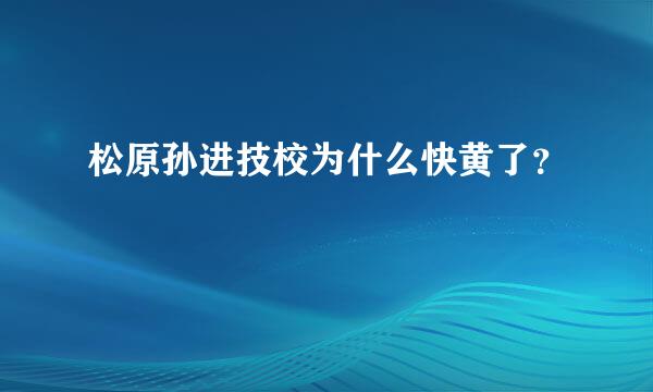 松原孙进技校为什么快黄了？