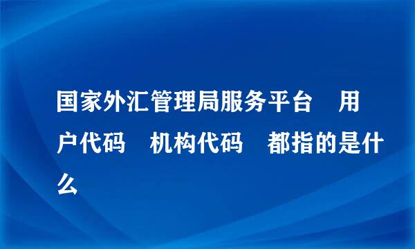 国家外汇管理局服务平台 用户代码 机构代码 都指的是什么