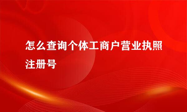 怎么查询个体工商户营业执照注册号