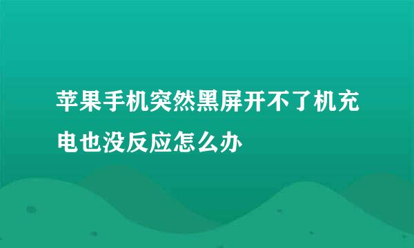 苹果手机突然黑屏开不了机充电也没反应怎么办