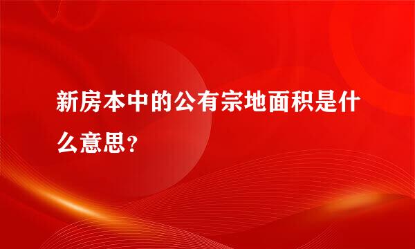 新房本中的公有宗地面积是什么意思？