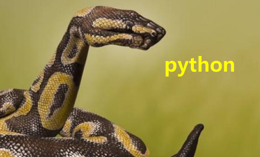 python怎么发音