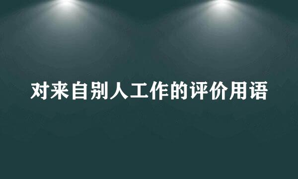 对来自别人工作的评价用语