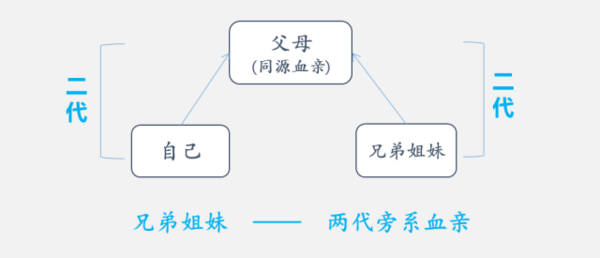 这样的关系属于拿三代以内旁系血亲么