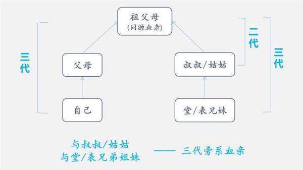 这样的关系属于拿三代以内旁系血亲么