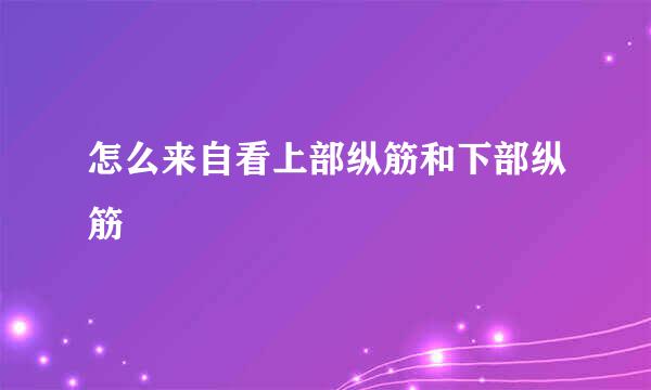 怎么来自看上部纵筋和下部纵筋