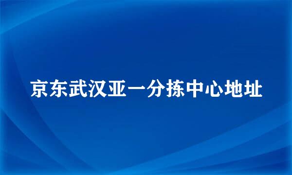 京东武汉亚一分拣中心地址