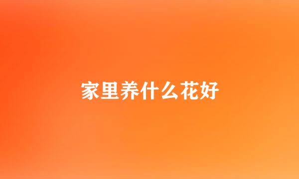 家里养什么花好