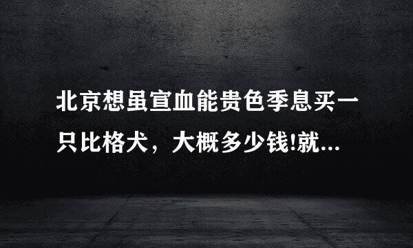 北京想虽宣血能贵色季息买一只比格犬，大概多少钱!就要纯的 !来自