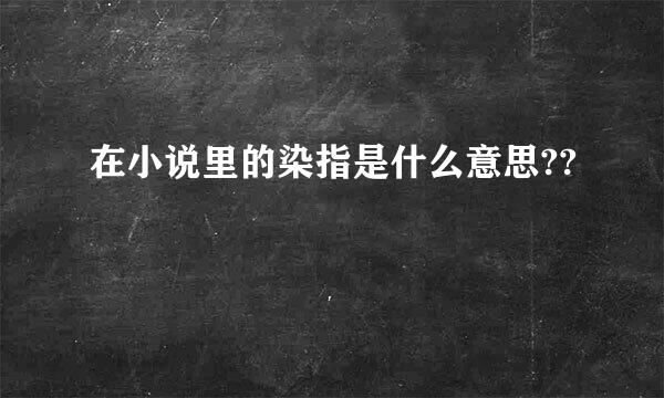 在小说里的染指是什么意思??