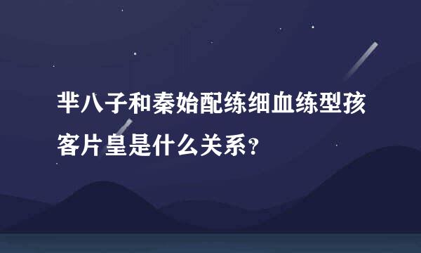 芈八子和秦始配练细血练型孩客片皇是什么关系？