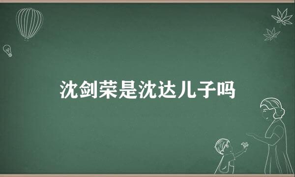 沈剑荣是沈达儿子吗