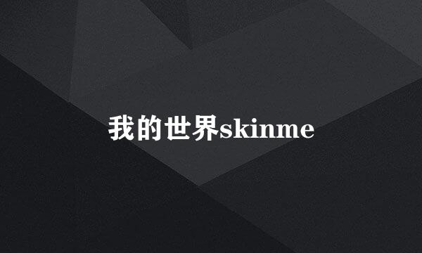 我的世界skinme