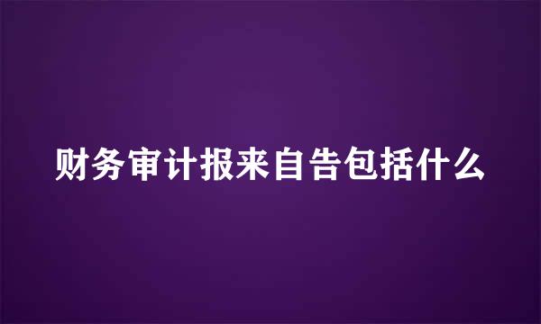 财务审计报来自告包括什么