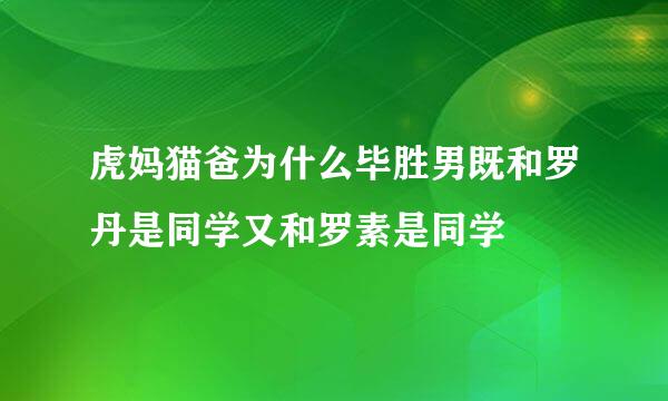 虎妈猫爸为什么毕胜男既和罗丹是同学又和罗素是同学