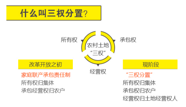 农村土地三权分置是什么？