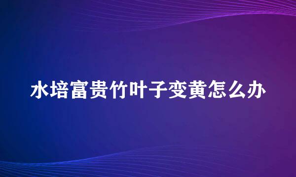 水培富贵竹叶子变黄怎么办