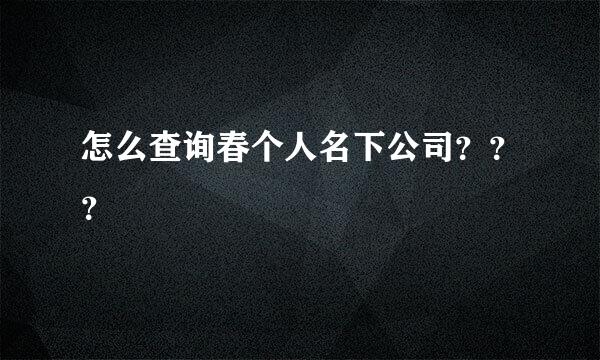 怎么查询春个人名下公司？？？