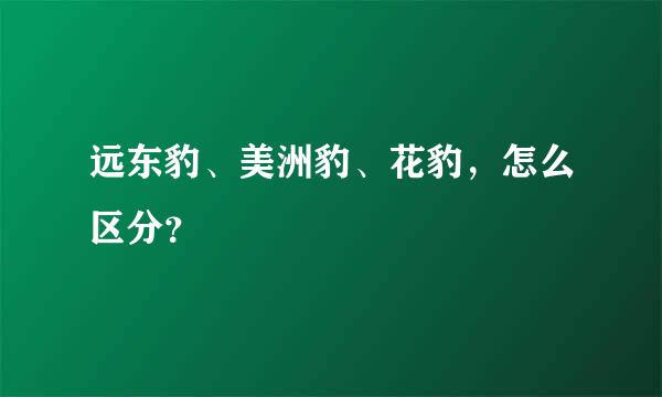 远东豹、美洲豹、花豹，怎么区分？