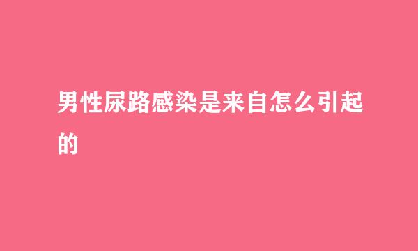 男性尿路感染是来自怎么引起的