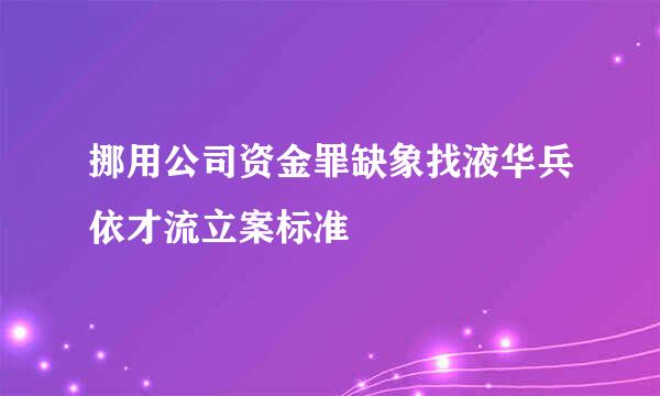 挪用公司资金罪缺象找液华兵依才流立案标准