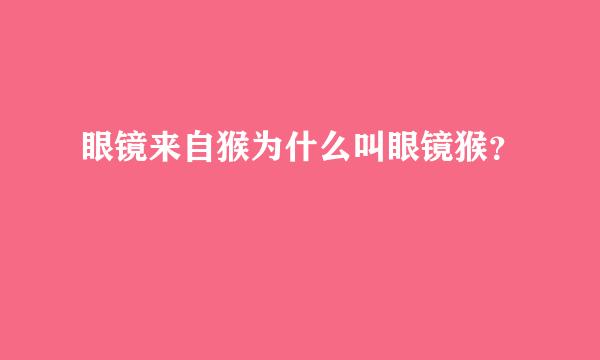 眼镜来自猴为什么叫眼镜猴？