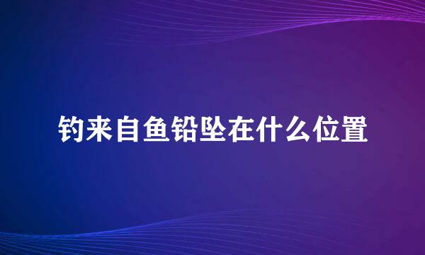 钓来自鱼铅坠在什么位置