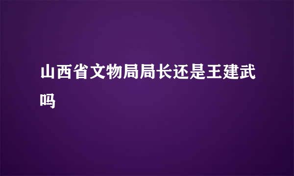 山西省文物局局长还是王建武吗