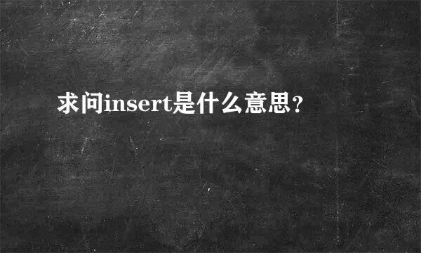 求问insert是什么意思？