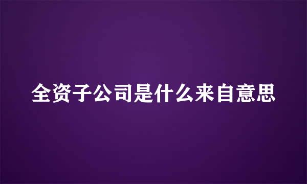 全资子公司是什么来自意思