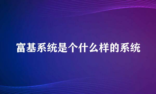 富基系统是个什么样的系统