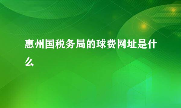 惠州国税务局的球费网址是什么