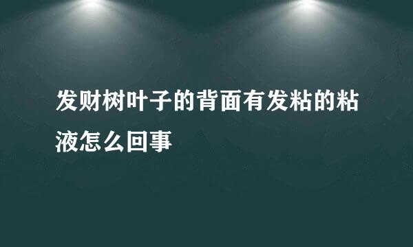 发财树叶子的背面有发粘的粘液怎么回事