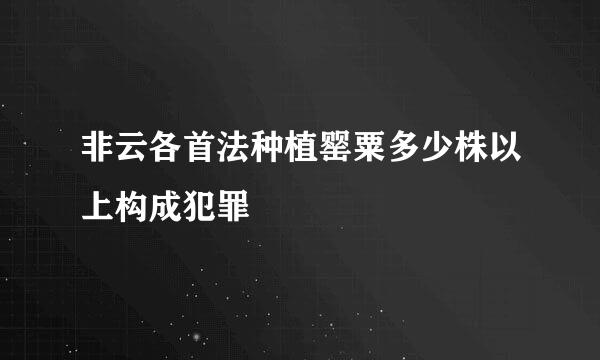 非云各首法种植罂粟多少株以上构成犯罪