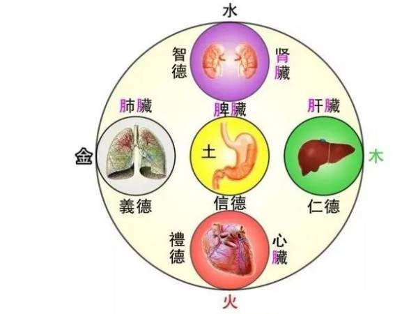 五脏对应的五行、五色、五季分别是来自什么