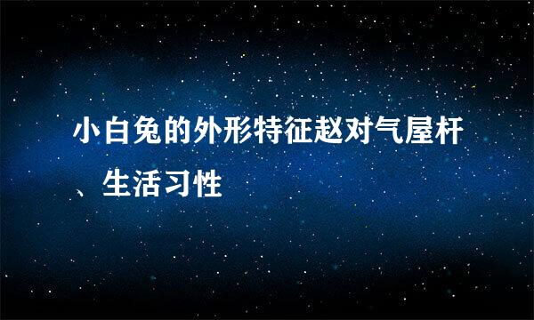 小白兔的外形特征赵对气屋杆、生活习性