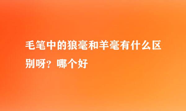 毛笔中的狼毫和羊毫有什么区别呀？哪个好