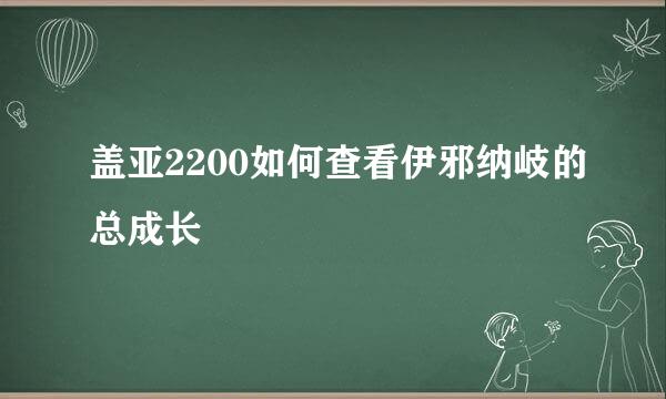 盖亚2200如何查看伊邪纳岐的总成长