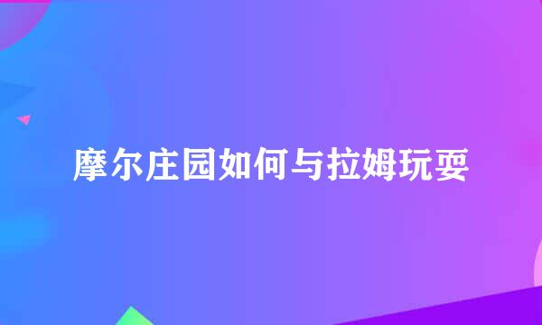 摩尔庄园如何与拉姆玩耍