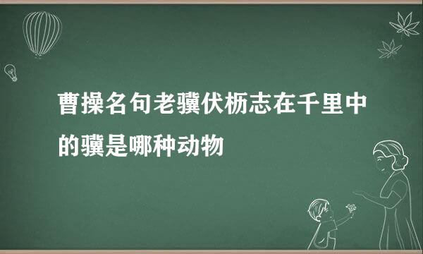 曹操名句老骥伏枥志在千里中的骥是哪种动物