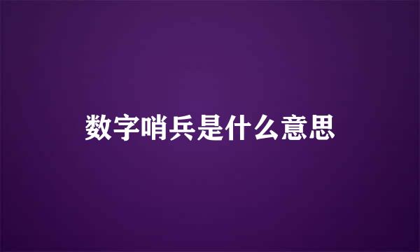 数字哨兵是什么意思