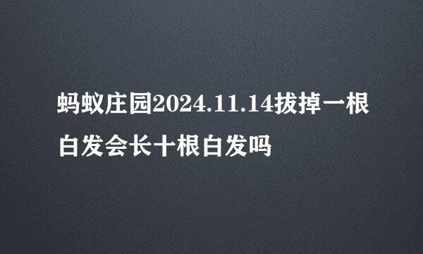 蚂蚁庄园2024.11.14拔掉一根白发会长十根白发吗