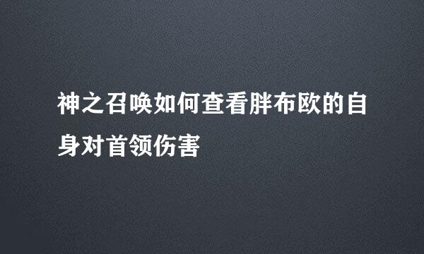 神之召唤如何查看胖布欧的自身对首领伤害